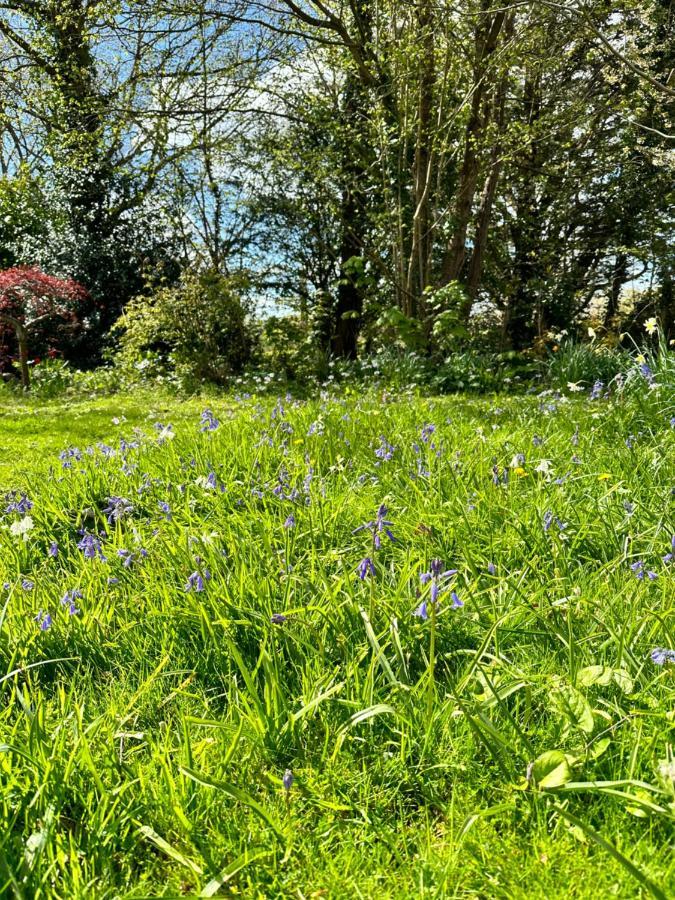 Peaceful Cottage With Private Garden Hailsham Bagian luar foto